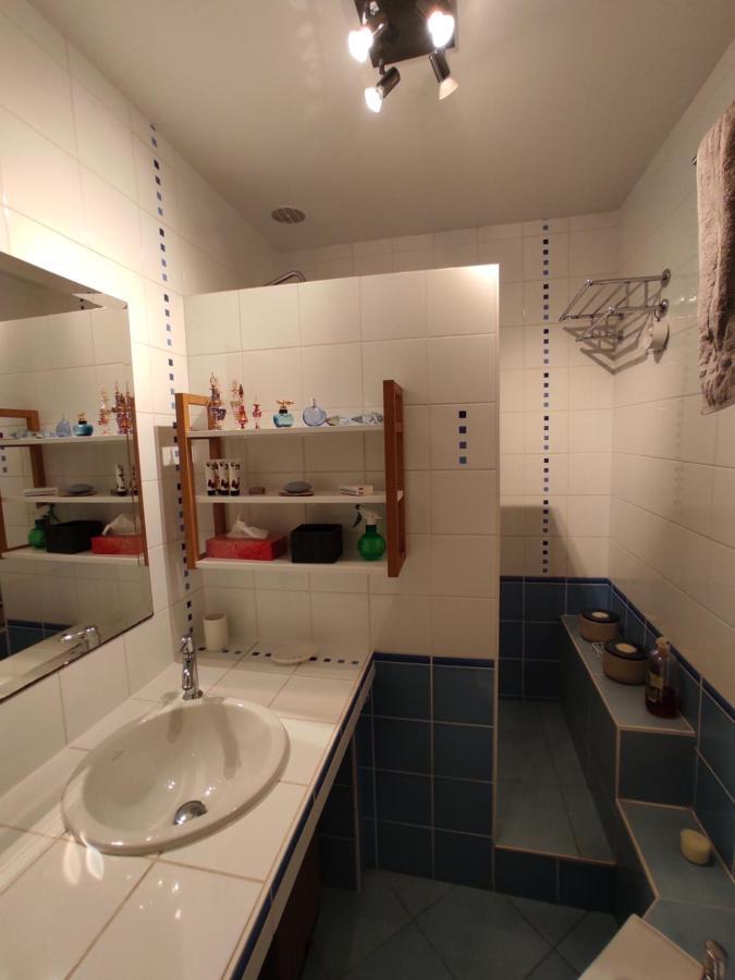 Appartement Calme Proche Toulouse Saint-Jean  Dış mekan fotoğraf